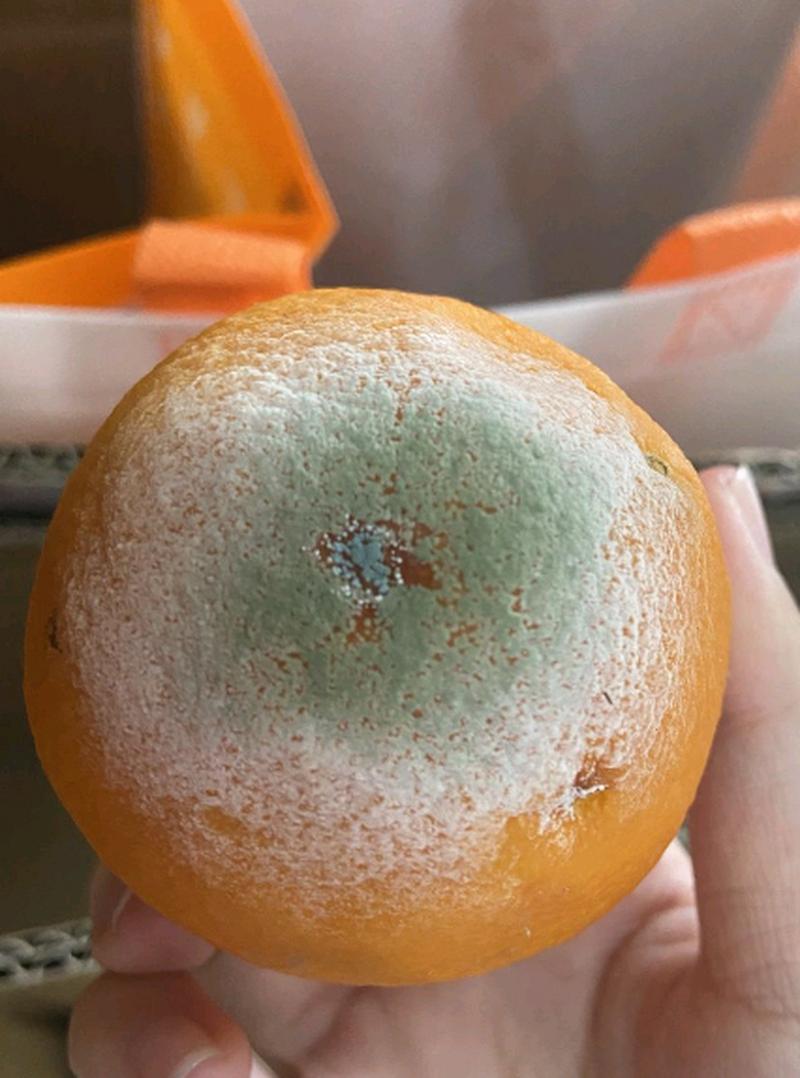 橘子有点坏了还能吃吗？橘子坏了一点