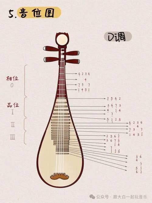 琵琶发源于哪个国家？琵琶源于哪里