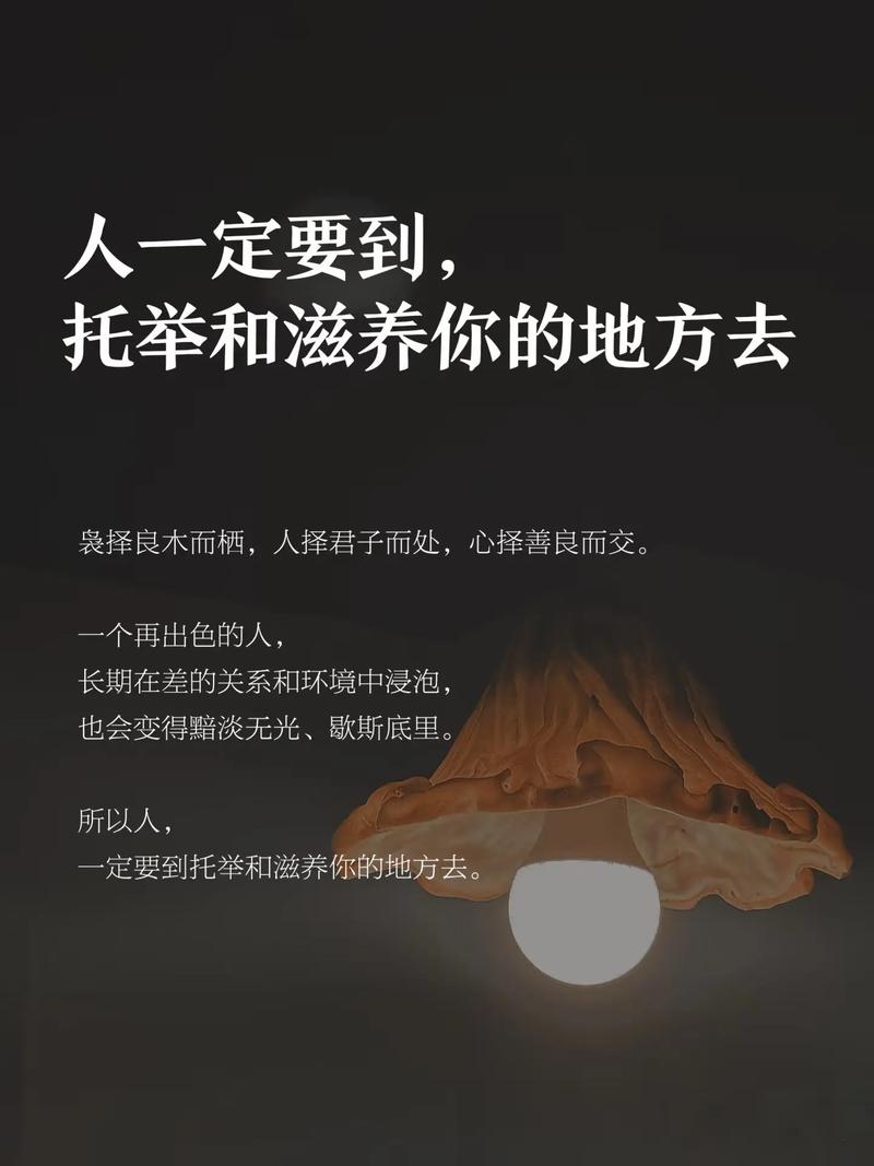 举以予人句式的以什么用法?举以予人的以的用法