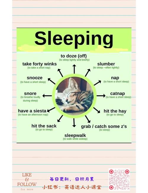 我可能睡了假觉是什么梗什么意思？我可能会睡着 英文