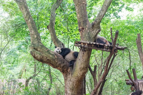 五一假期为您推荐7个绝佳旅行目的地,让这个小长假充满美好回忆