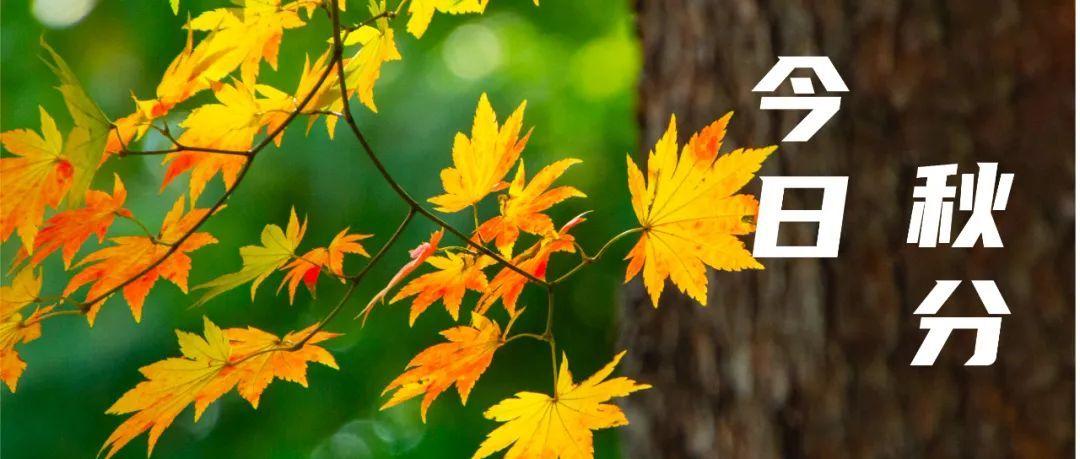 秋分节气的物候特征？关于“秋分”这样讲给孩子听