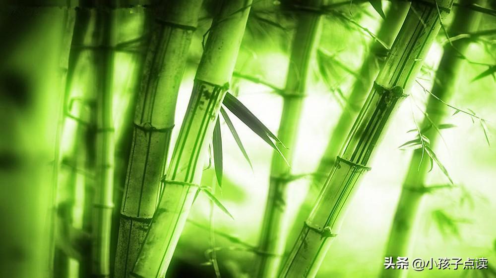 宿弊一清的意思是什么？肃清造句和解释