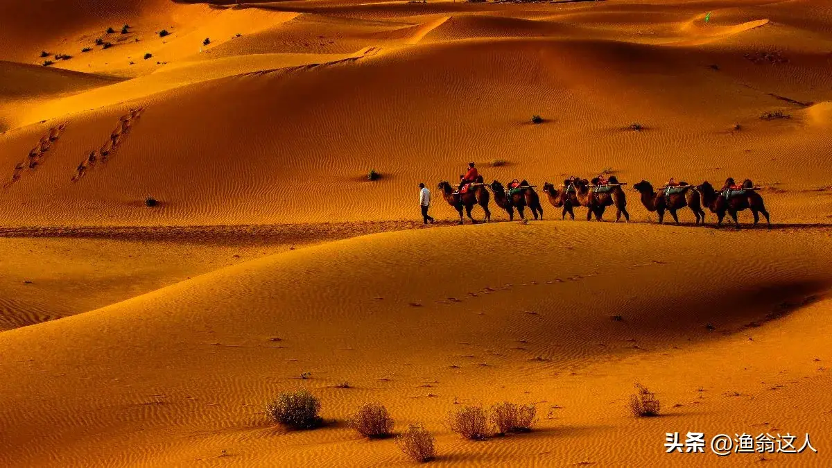 腾格里沙漠旅游攻略大全?你到过腾格里沙漠吗