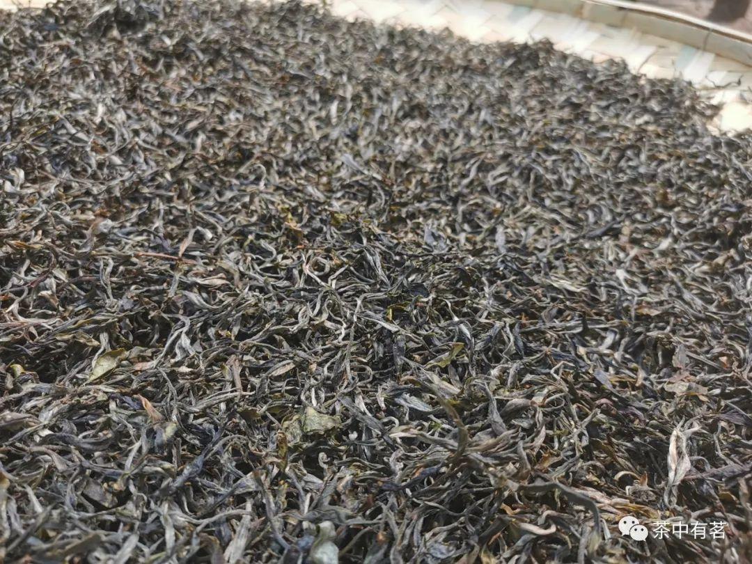 什么是普洱茶?普洱茶的国标定义是什么?