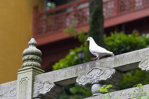 孟子：仰不愧于天，俯不怍于地是什么意思