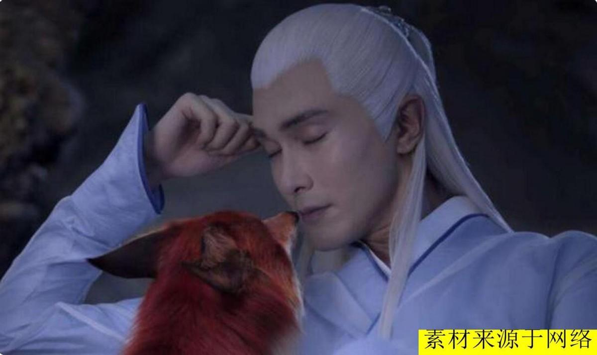 白狐可以养吗?狐狸也可以当宠物养?没错,养狐狸却有一些“禁忌”