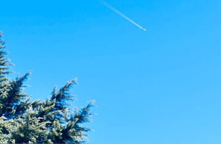 教育科学研究方法定向分析？行动研究法