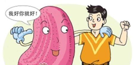 脾胃虚弱怎么调理饮食(脾胃虚弱怎么调理食谱)