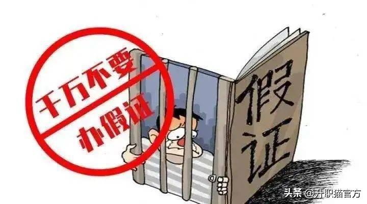 毕业证丢了怎么办？千万别想着学历是真实的就办个假的！