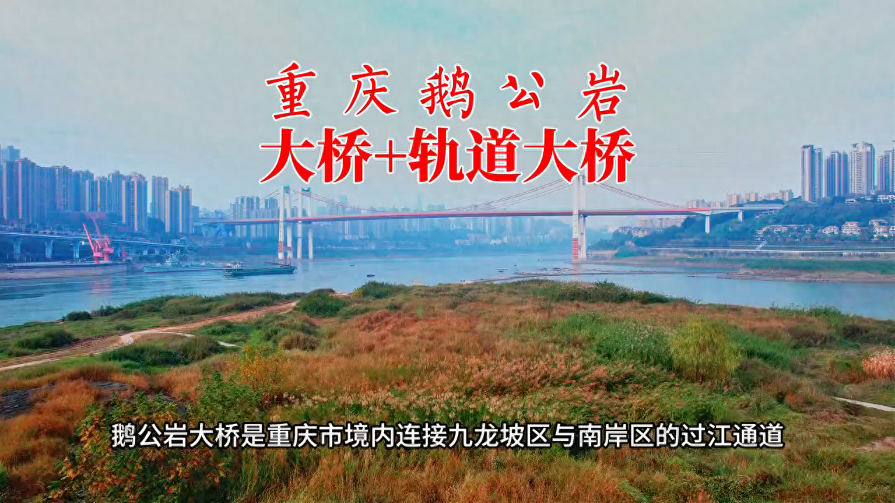 重庆轨道交通环线西南半环控制性工程——鹅公岩大桥