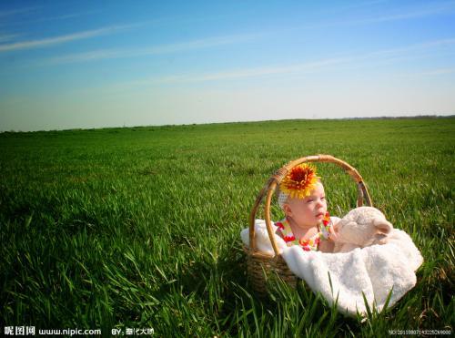 今天我们来说一说生育权