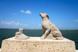 个体工商户注册资金 ,个体工商户有注册资本吗?