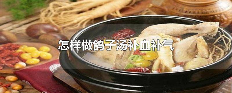 ​补气血鸽子汤怎么做 补气补血的鸽子汤做法