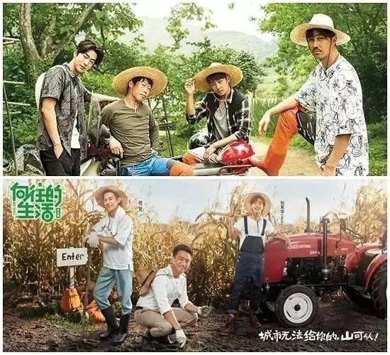 啊啊啊啊,他们回归了!!!