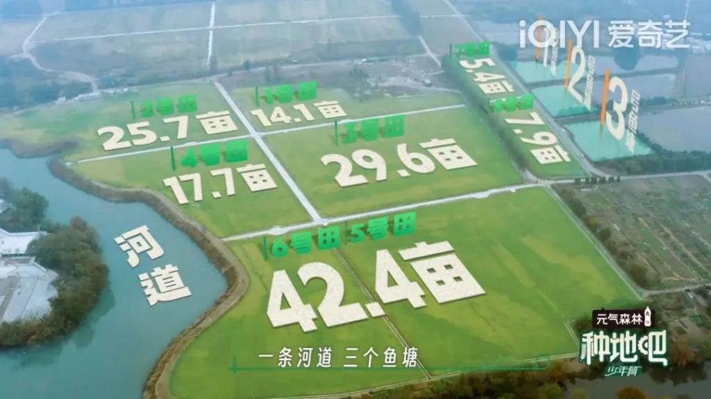 啊啊啊啊,他们回归了!!!