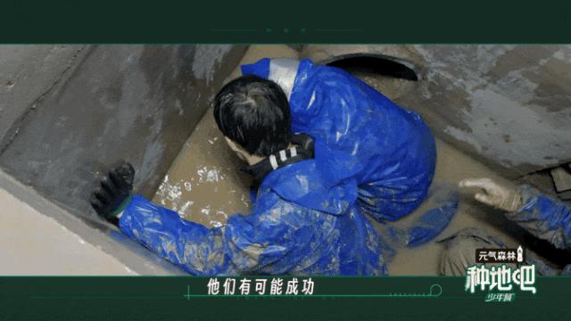 啊啊啊啊,他们回归了!!!