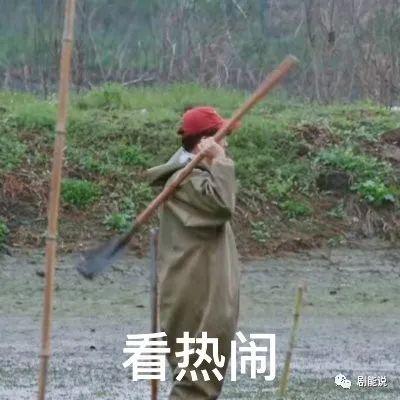 啊啊啊啊,他们回归了!!!