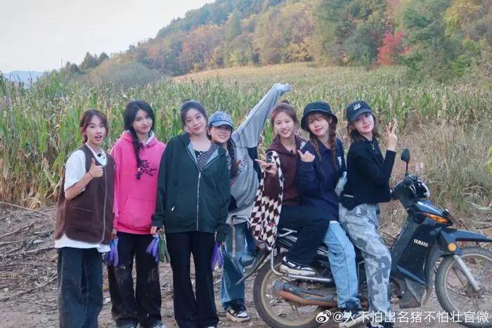 啊啊啊啊,他们回归了!!!