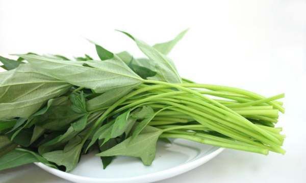 番薯叶是红薯叶,红薯叶和地瓜叶一样吗