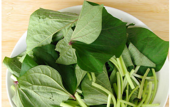番薯叶是红薯叶,红薯叶和地瓜叶一样吗