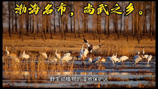 沧州市是属于哪个省, 河北沧州,渤海名市,尚武之乡。