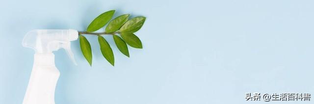 晨阳水漆和立邦漆哪个更环保