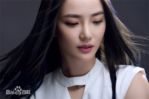 福鼎籍中国内地流行乐女歌手、影视演员、导演陈一玲