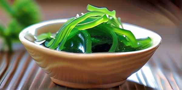 海藻的十大禁忌是什么