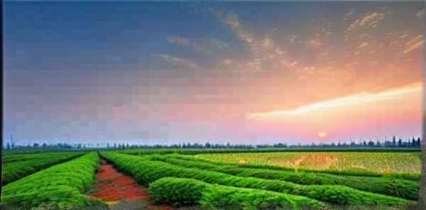 潍坊高密十大特产是什么(图1)