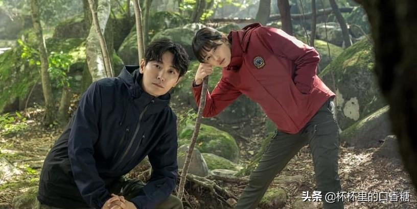 韩国演员搜索排行榜(宋江霸屏第6,她整周占头条)