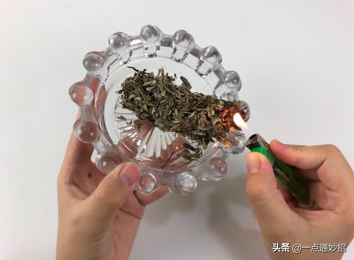 艾草熏房间的作用 太实用了,解决了不少人的困扰,实用又省钱