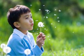 法考学科特点介绍之行政法与行政诉讼法