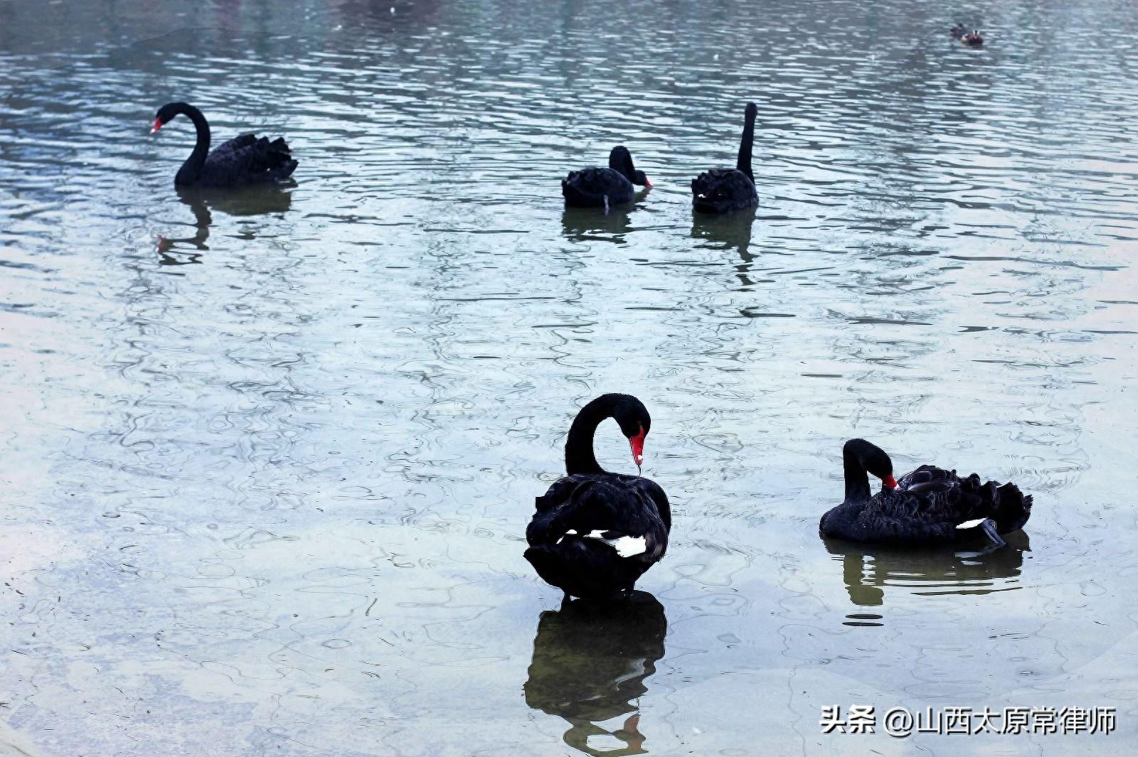 交通事故纠纷司法解释、立法解释及答复
