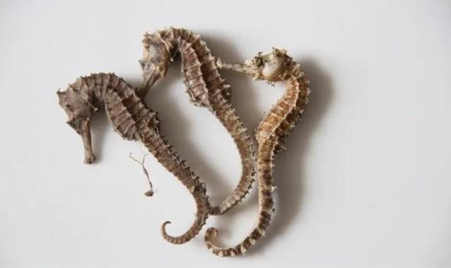 ​市面上最昂贵的三种中药材？石斛为什么会这么贵