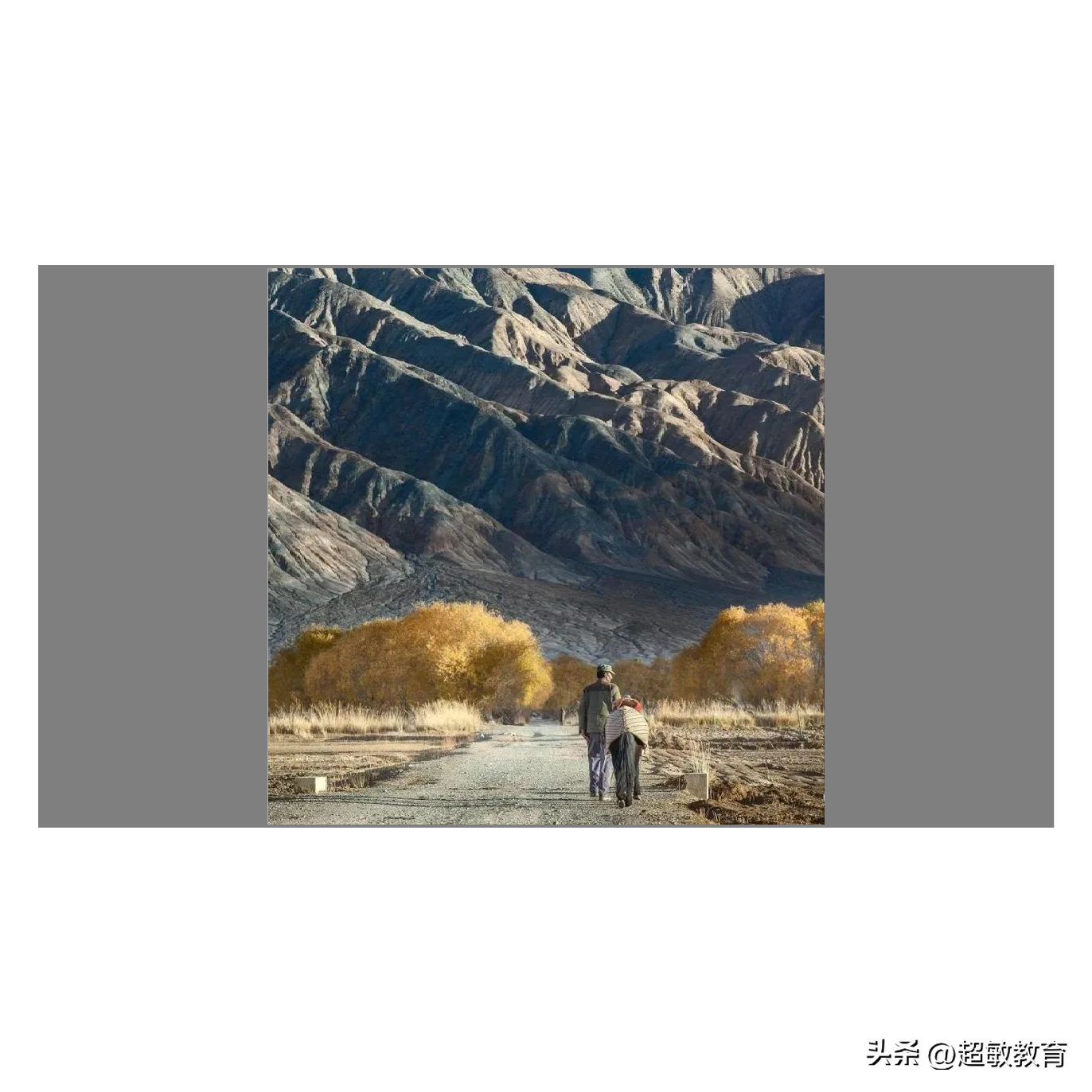 《诗经·采薇》?节选原文及翻译:真的是“莫知我哀”!