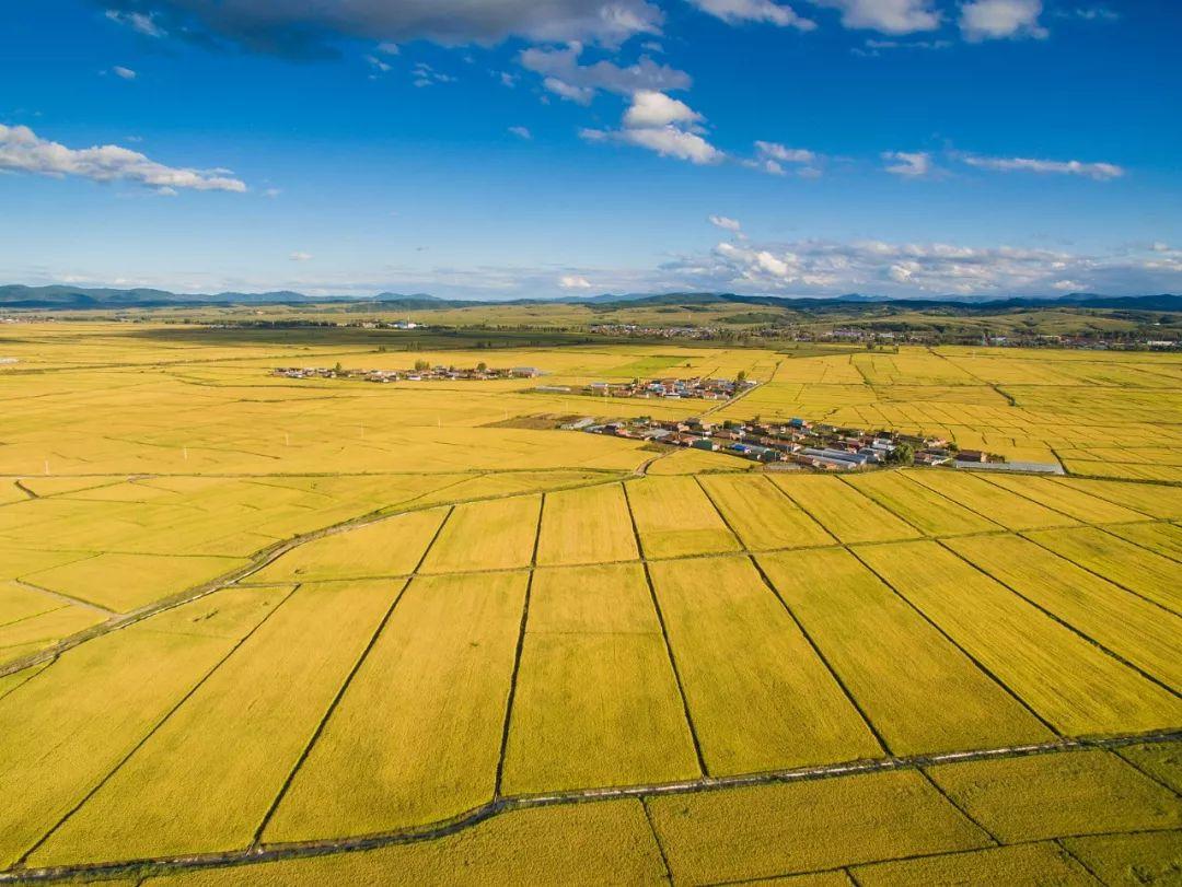 国家最新政策来了!户口本上有农业户口这4个字的人恭喜了!