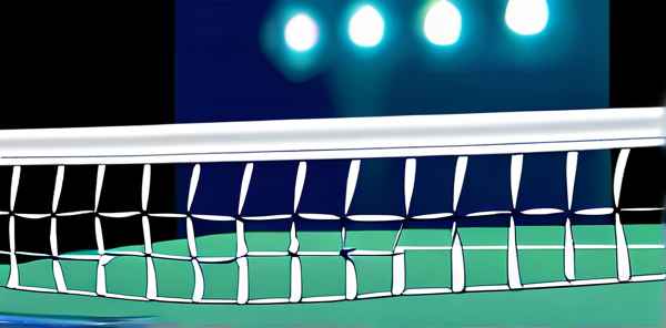 羽坛十大遗憾是什么