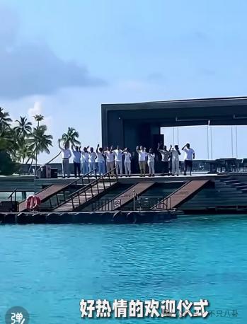 被这个联姻惊呆了!连奚梦瑶何猷君都去庆祝啦?