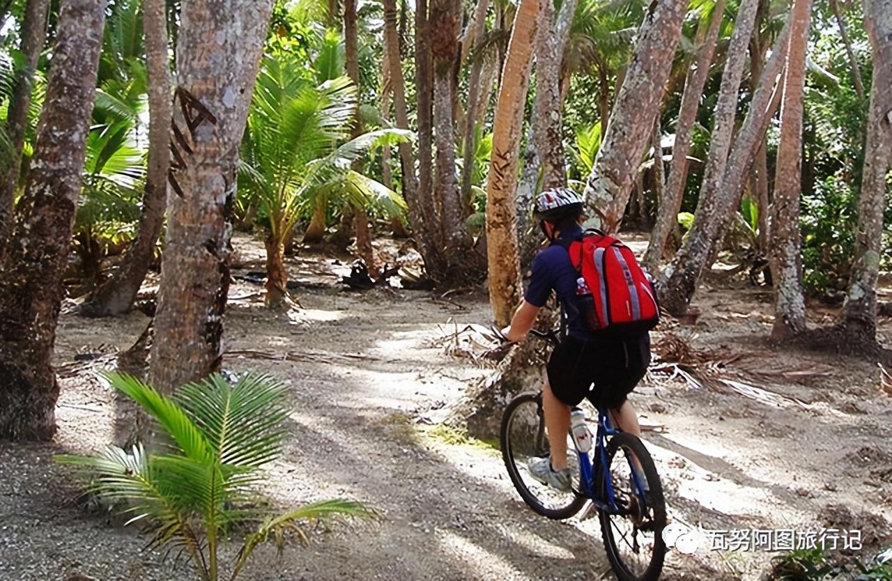 瓦努阿图维拉港14件要做的事