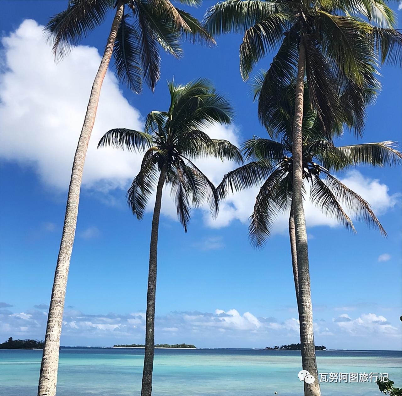 瓦努阿图维拉港14件要做的事