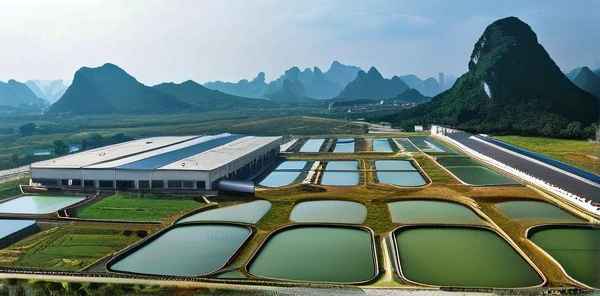 贵港十大民营企业排名