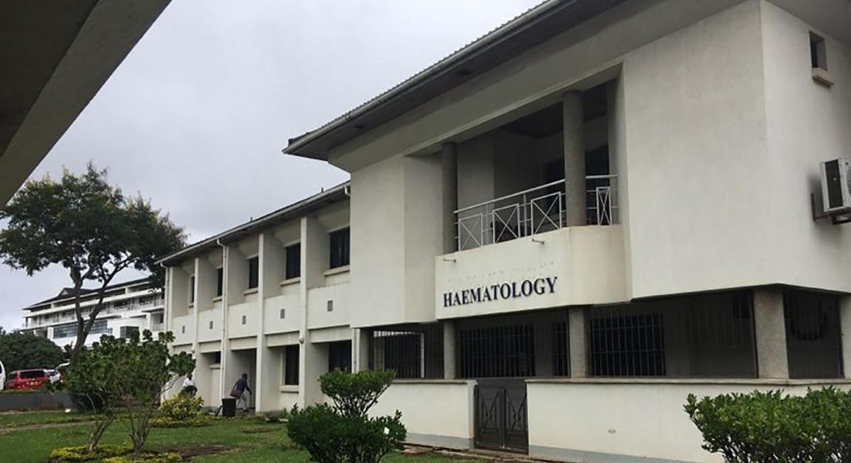 有趣的钱币之非洲篇——马拉维克瓦查