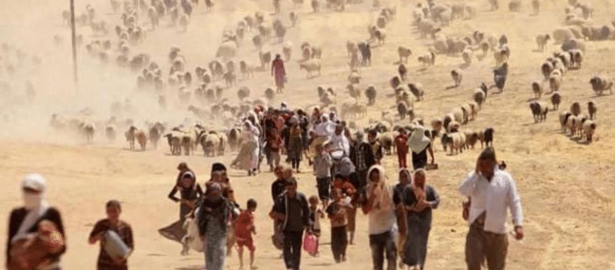 叙利亚女性地位 ：大国博弈中的牺牲品，遭受肉体和灵魂的双重摧残