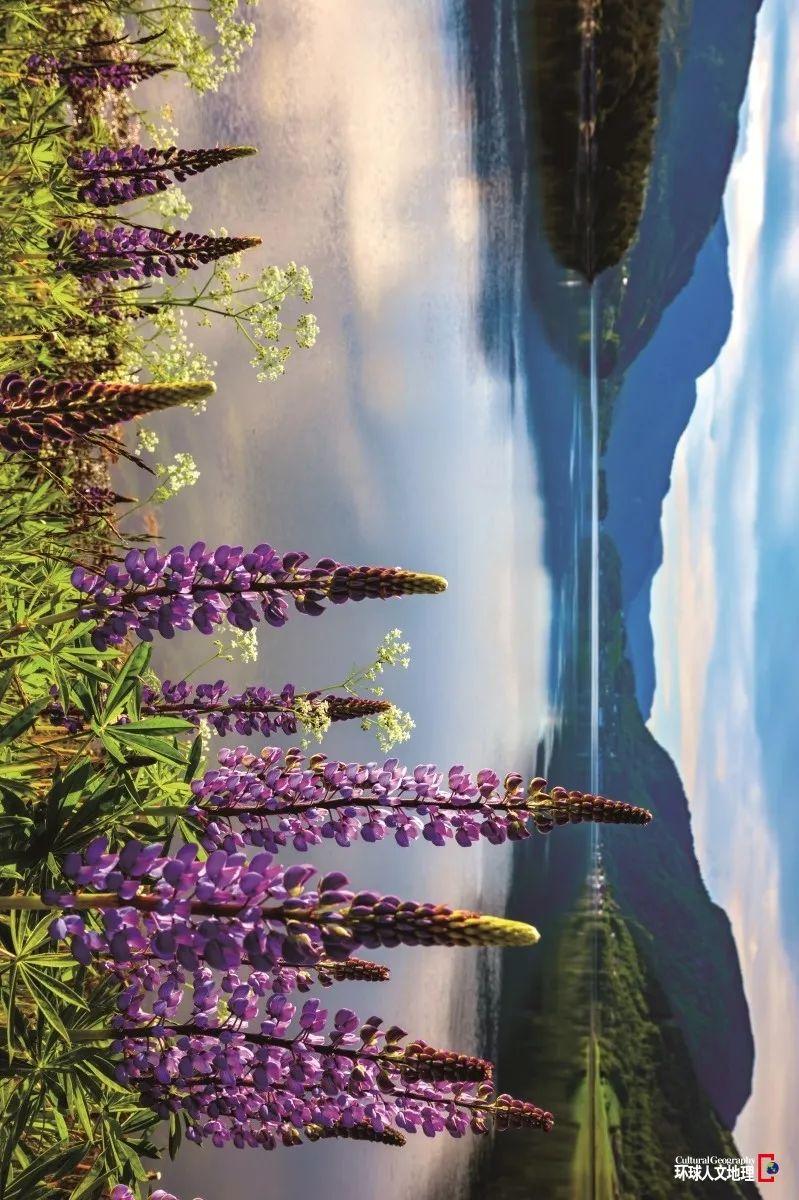 挪威峡湾地貌,有多美?