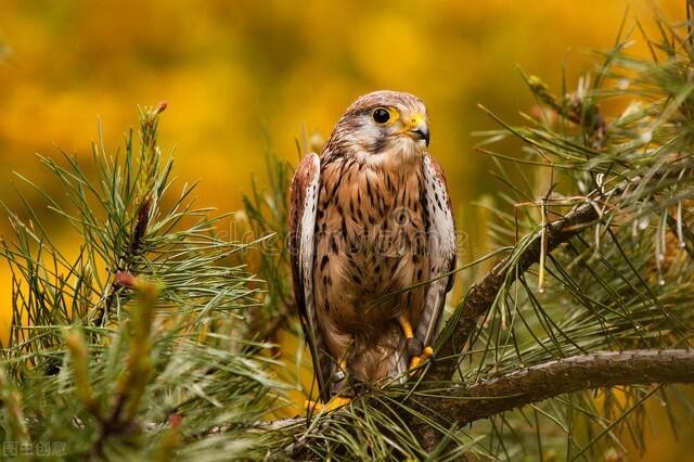 比利时在哪 —你所不知道的国家冷知识