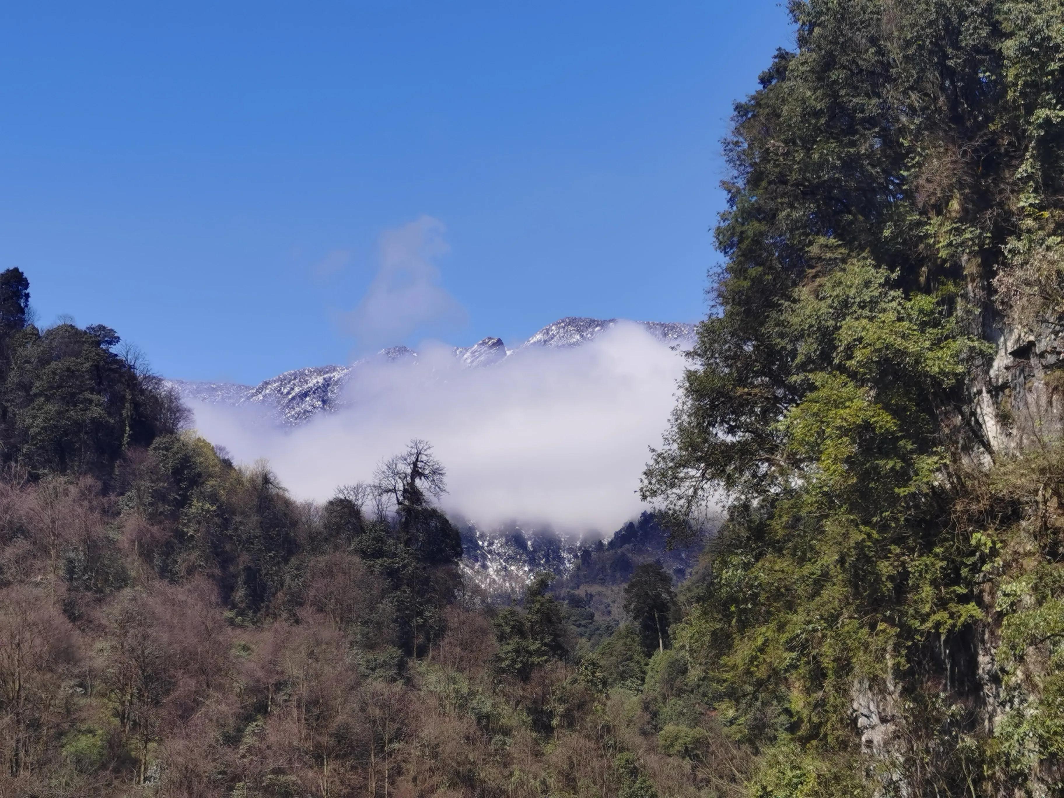 中国的百慕大,世界的黑竹沟