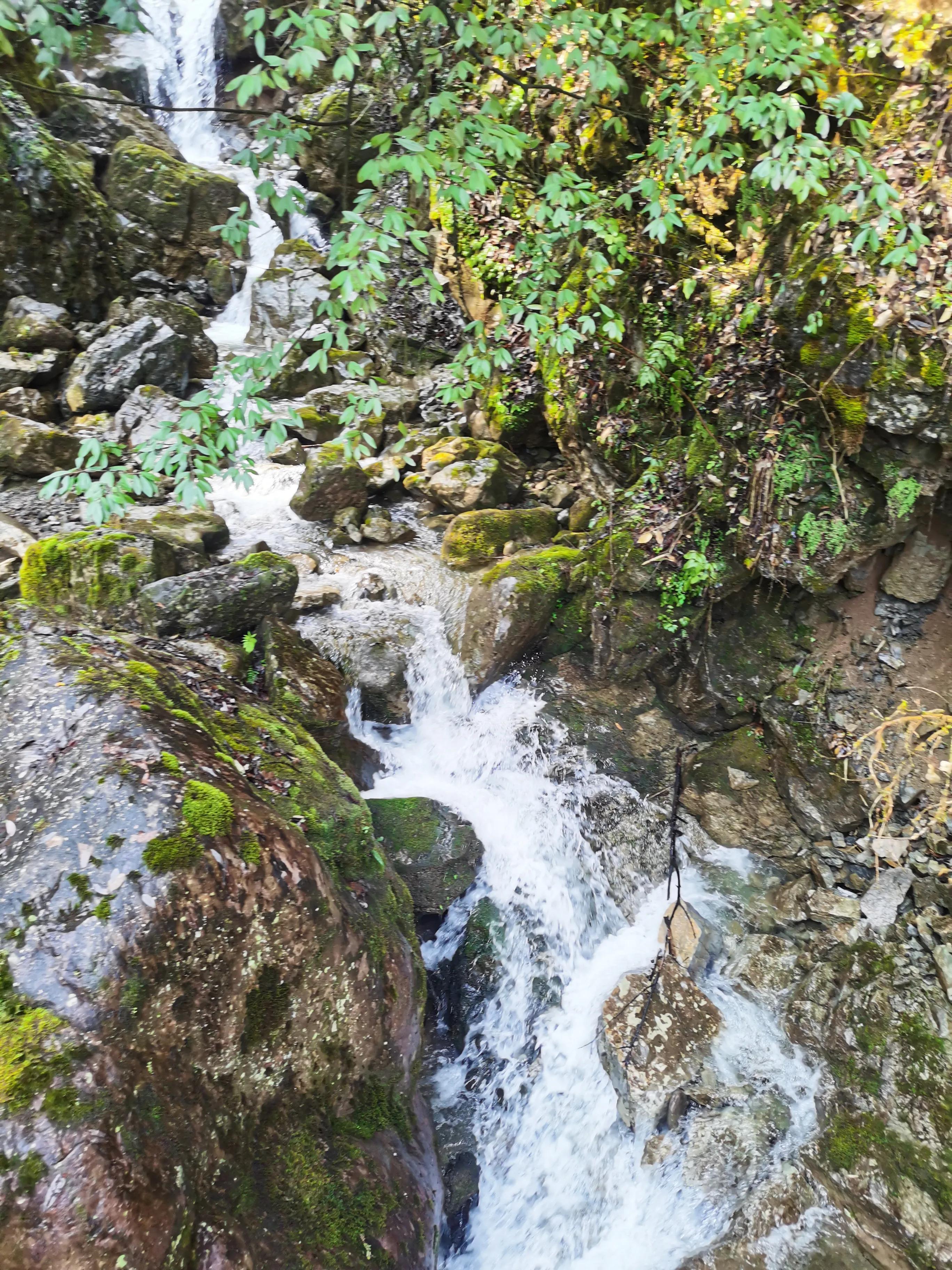 中国的百慕大,世界的黑竹沟