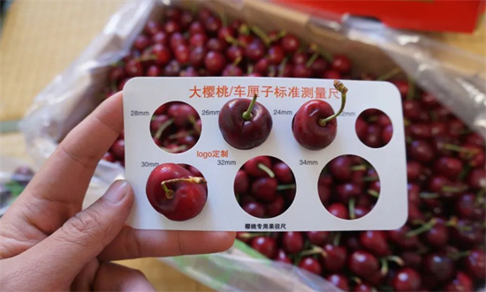 车厘子2J3J4J是什么意思？解释车厘子2J3J4J