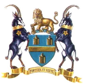 一日一城一徽章:南非约翰内斯堡